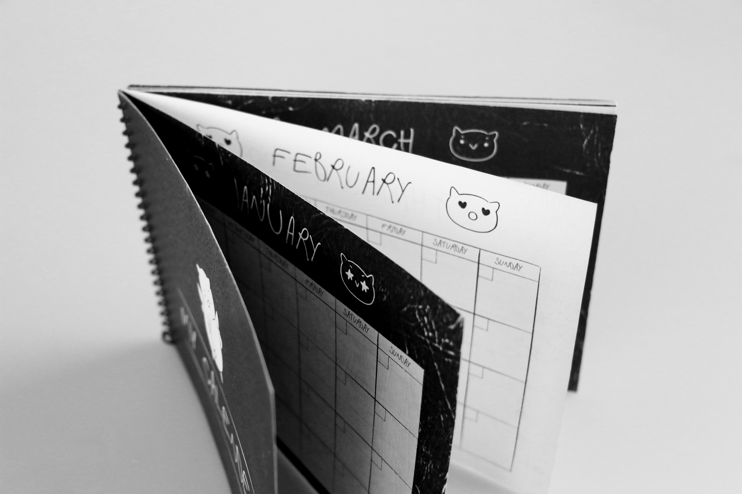 IMG_2567.png