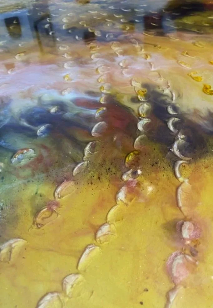 Filets de poissons sous l'eau, vue avec mur de pierres au fond.