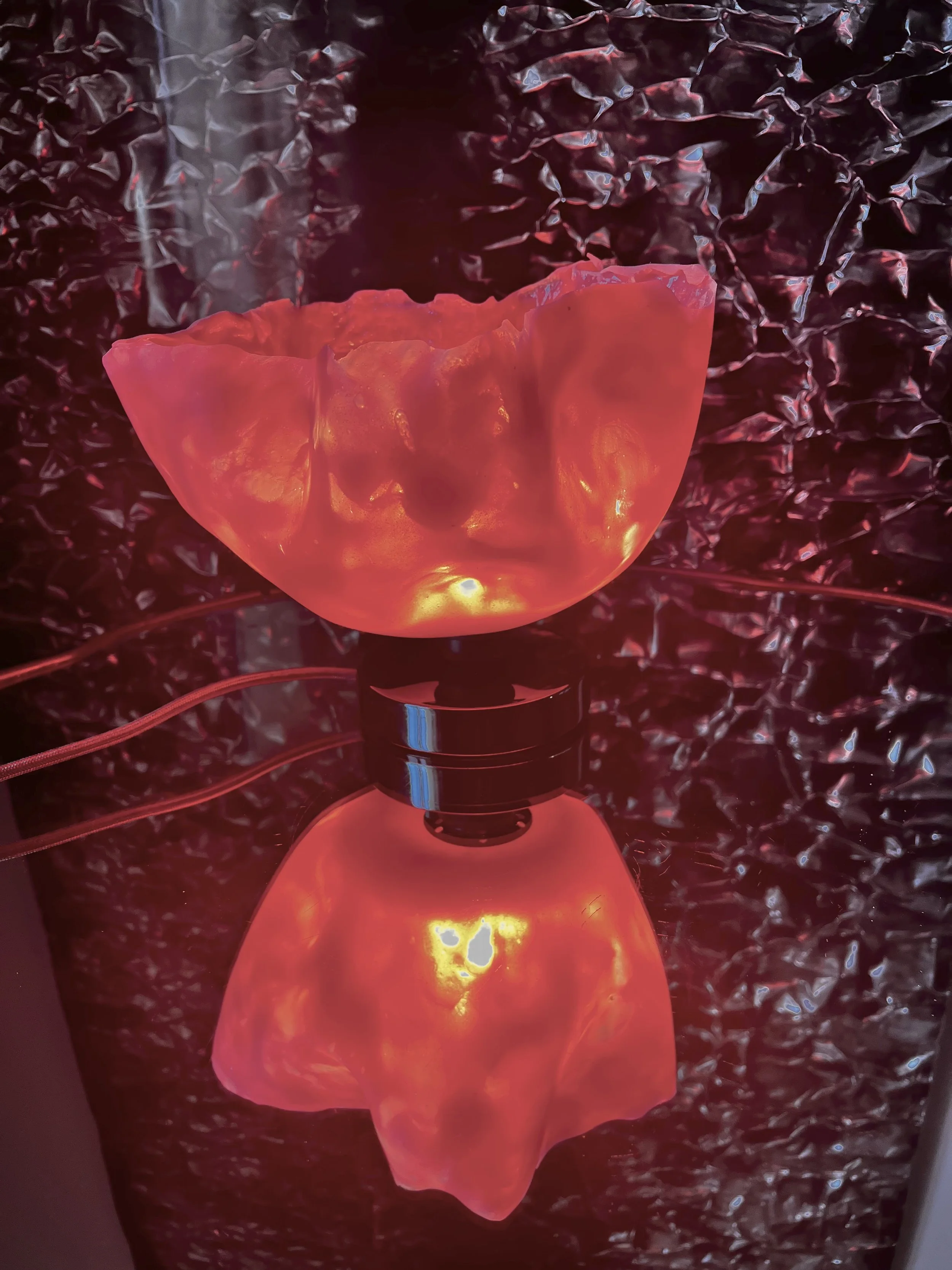 FullSizeRender-preview copie.jpeg