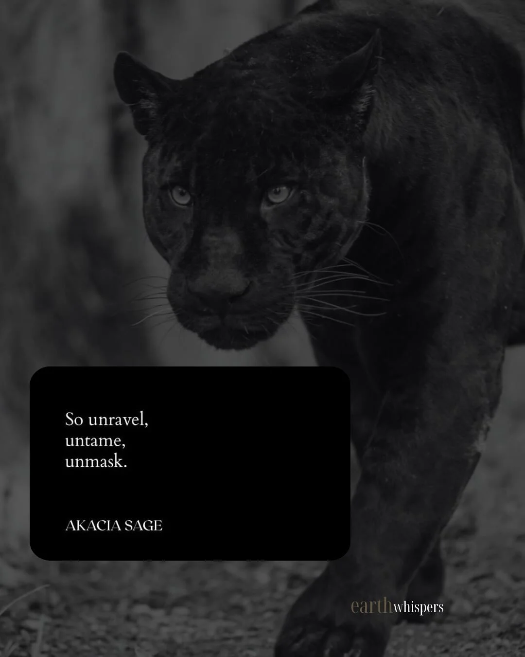 For the artists, creatives, leaders &amp; visionaries 🌬️🔥

Our next Leadership Training in Egypt is from 02-12th December. 

A 3-part initiatory journey for leaders ready to expand your gifts, deepen your impact and master your energetic, er0.tic &