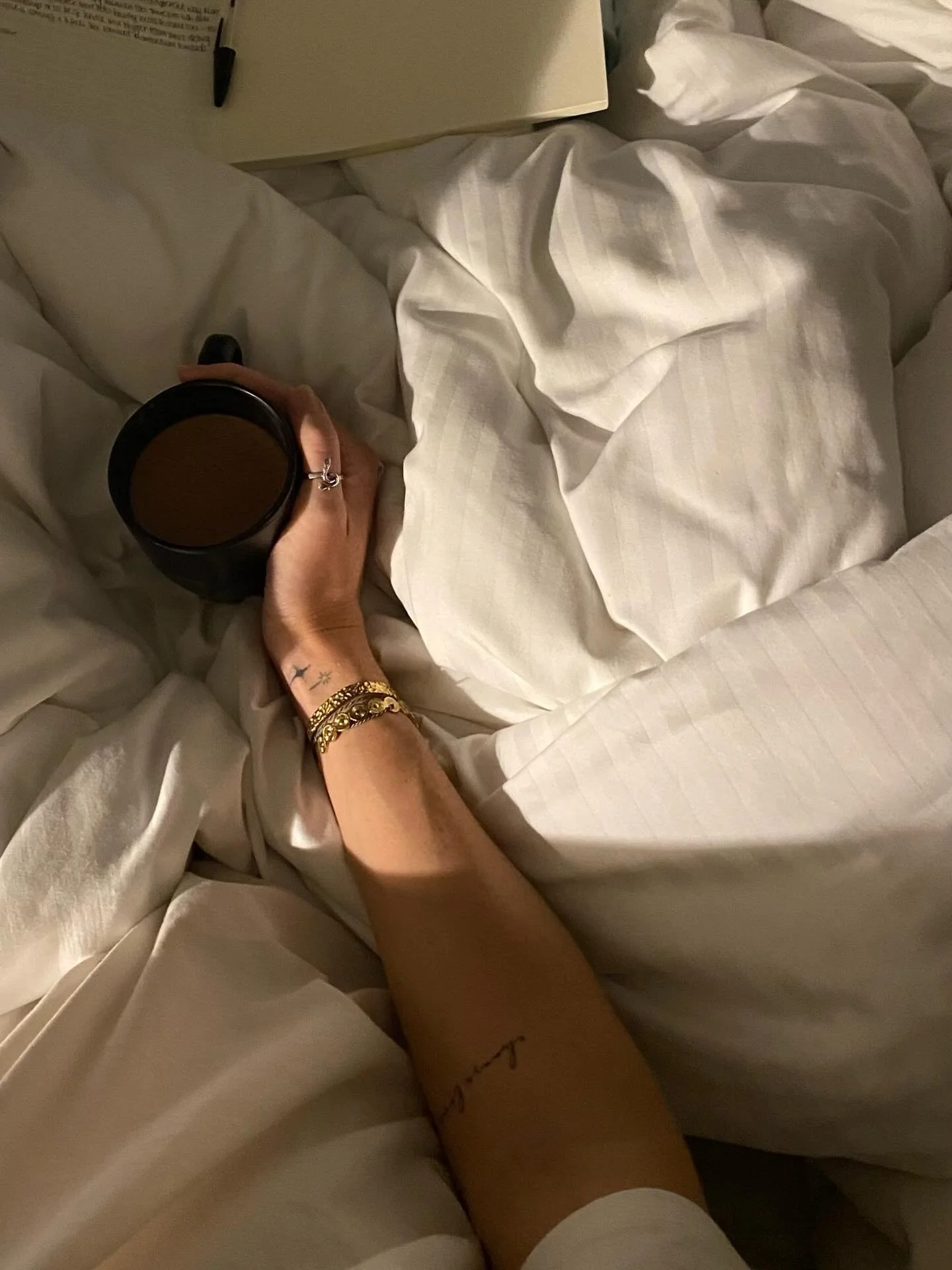 There is so much more to say but heres an attempt. 

A year of some of the biggest initiations and deepest lessons while also the deepest most true love, connection &amp; purpose. 

I rarely do a year in review especially mid-winter but this one feel