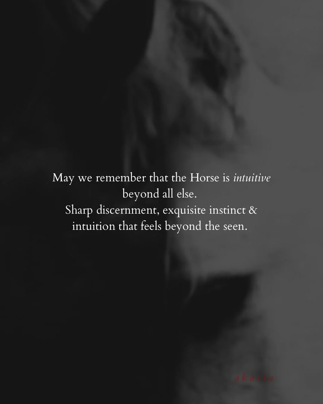 The year of the Horse 🖤

Holding the pillars of stability, focus, creativity, motivation, aliveness, integrity, accountability &amp; community. 

You get to choose how this year refines your craft. 

Deeper into the potentiality you came to shape. 
