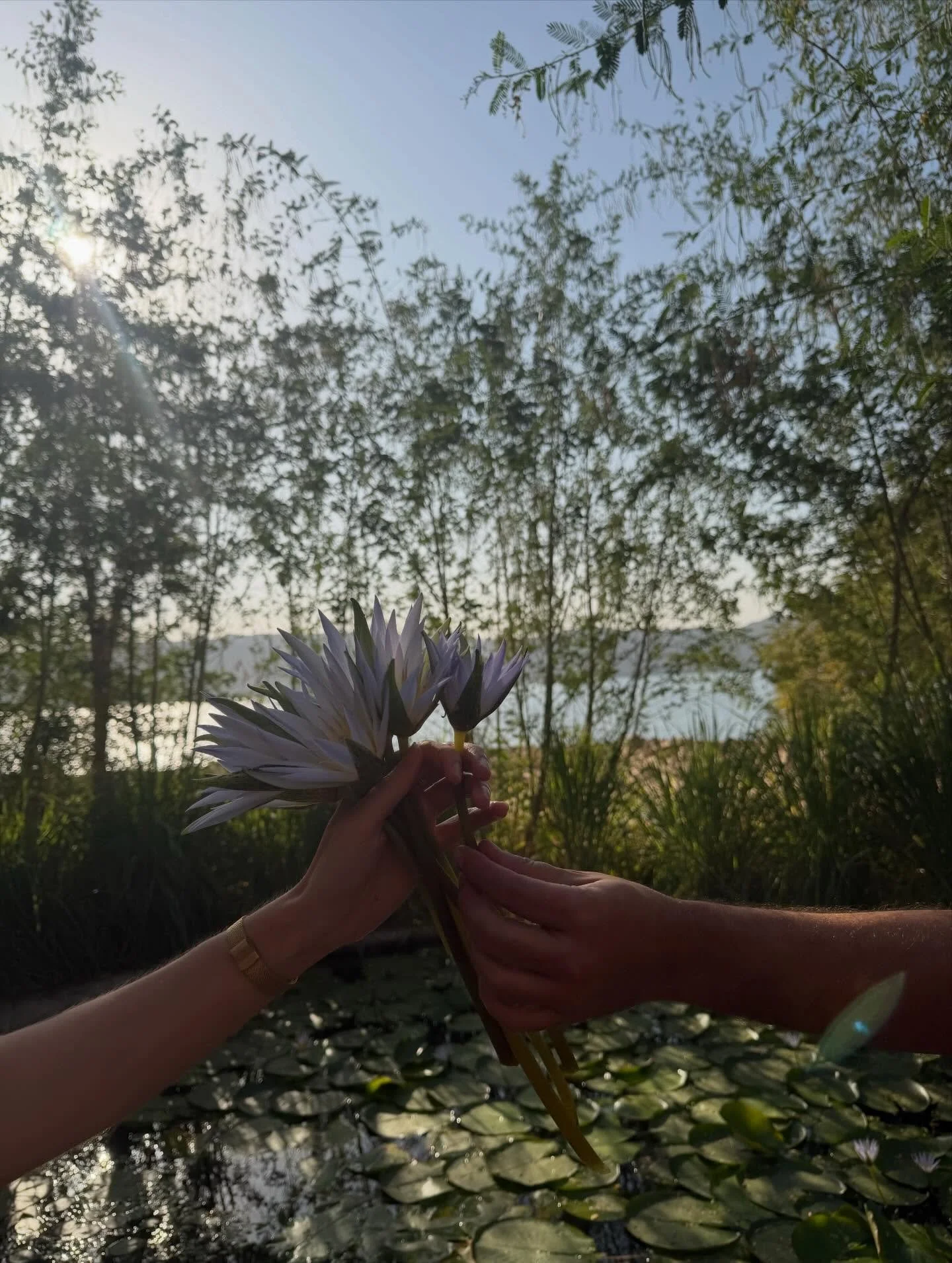 Conscious leadership is a path that calls on our hearts in a way that opens us up - beyond the I and into the We. 

It&rsquo;s a term that is thrown around frequently but to embody it is to hold a pillar of coherent connection between all sentient li