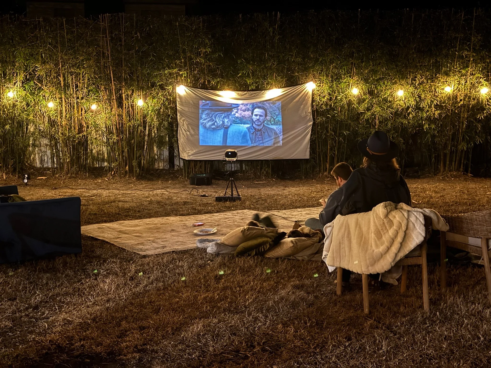 Outdoor Movie Setup