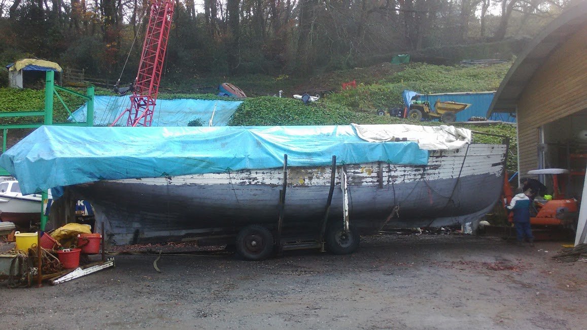 Having made the decision to try and save her, her 100th birthday sees her about to go under cover for a winter's work.