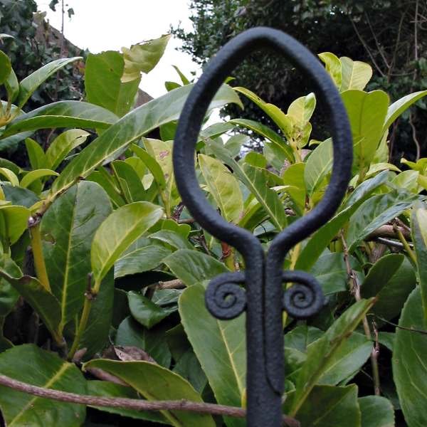 Decorative element for gate infill