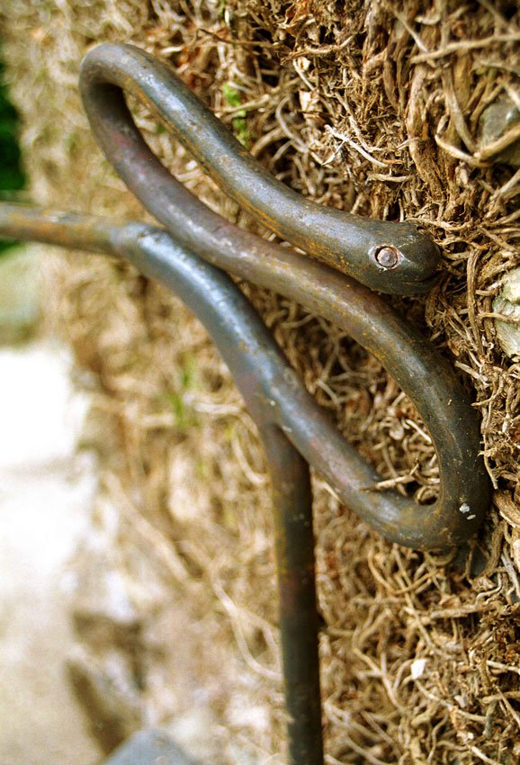 Head of snakey rails
