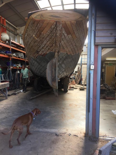 leaving the shed 2019 pt 2.jpg