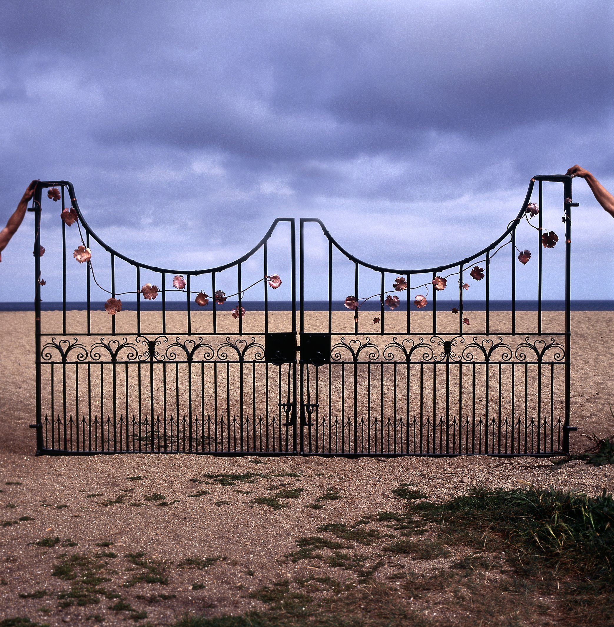 Entrance gates (JC)