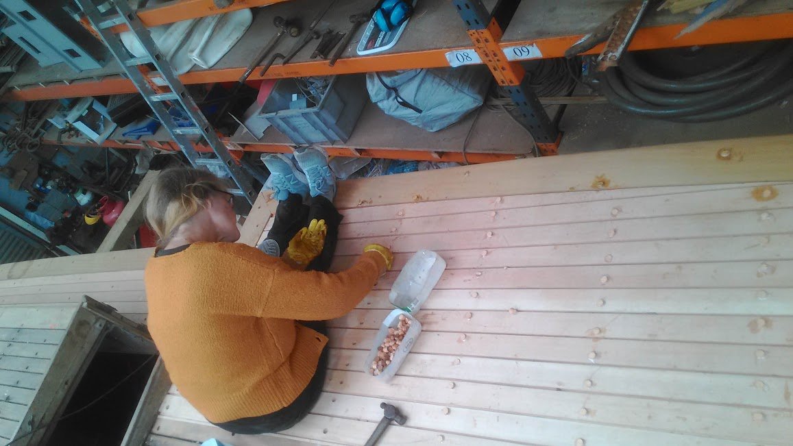 plugging screw holes.jpg