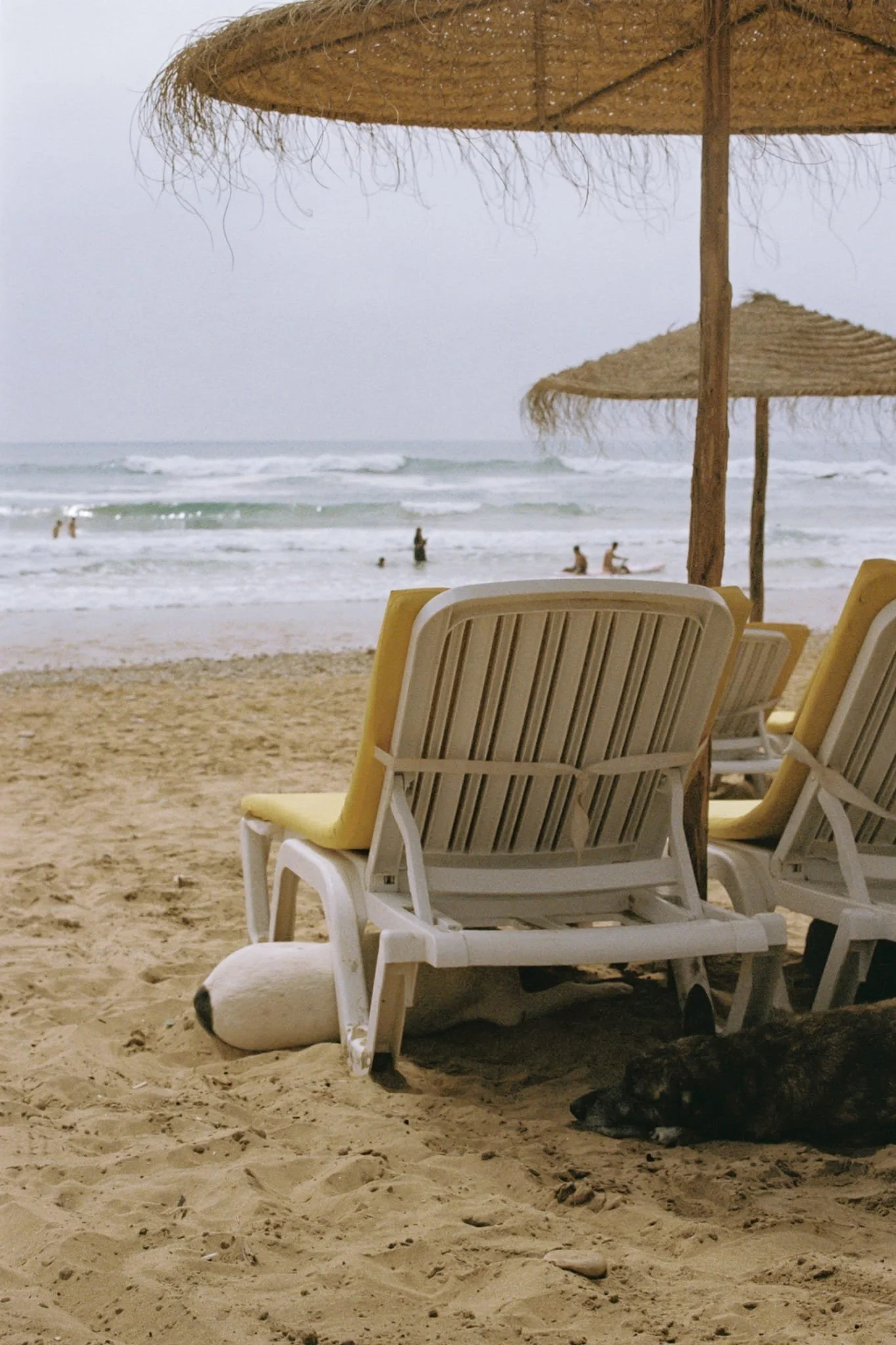 Empty beach chairs under straw umbrellas on sandy beach with people in water, overcast sky.