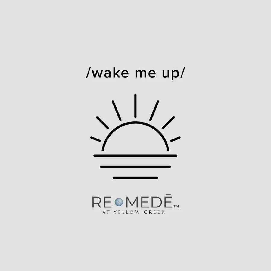 WAKE ME UP (Copy) (Copy)