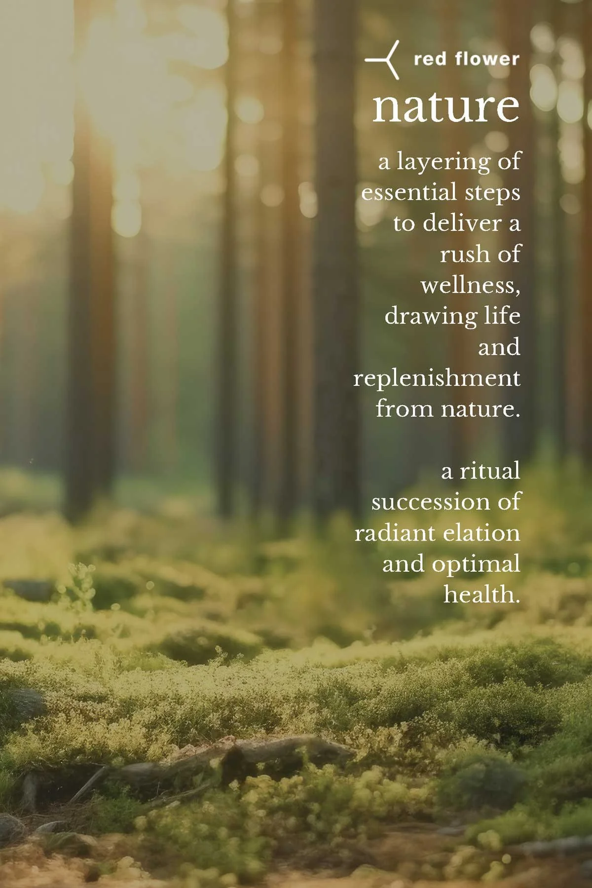 A forest scene with sunlight filtering through trees and moss-covered ground, accompanied by a quote about nature and wellness.