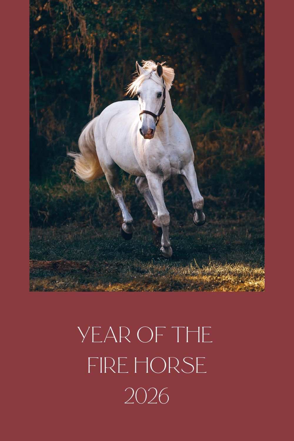 Lunar New Year 2026: What to Release Now