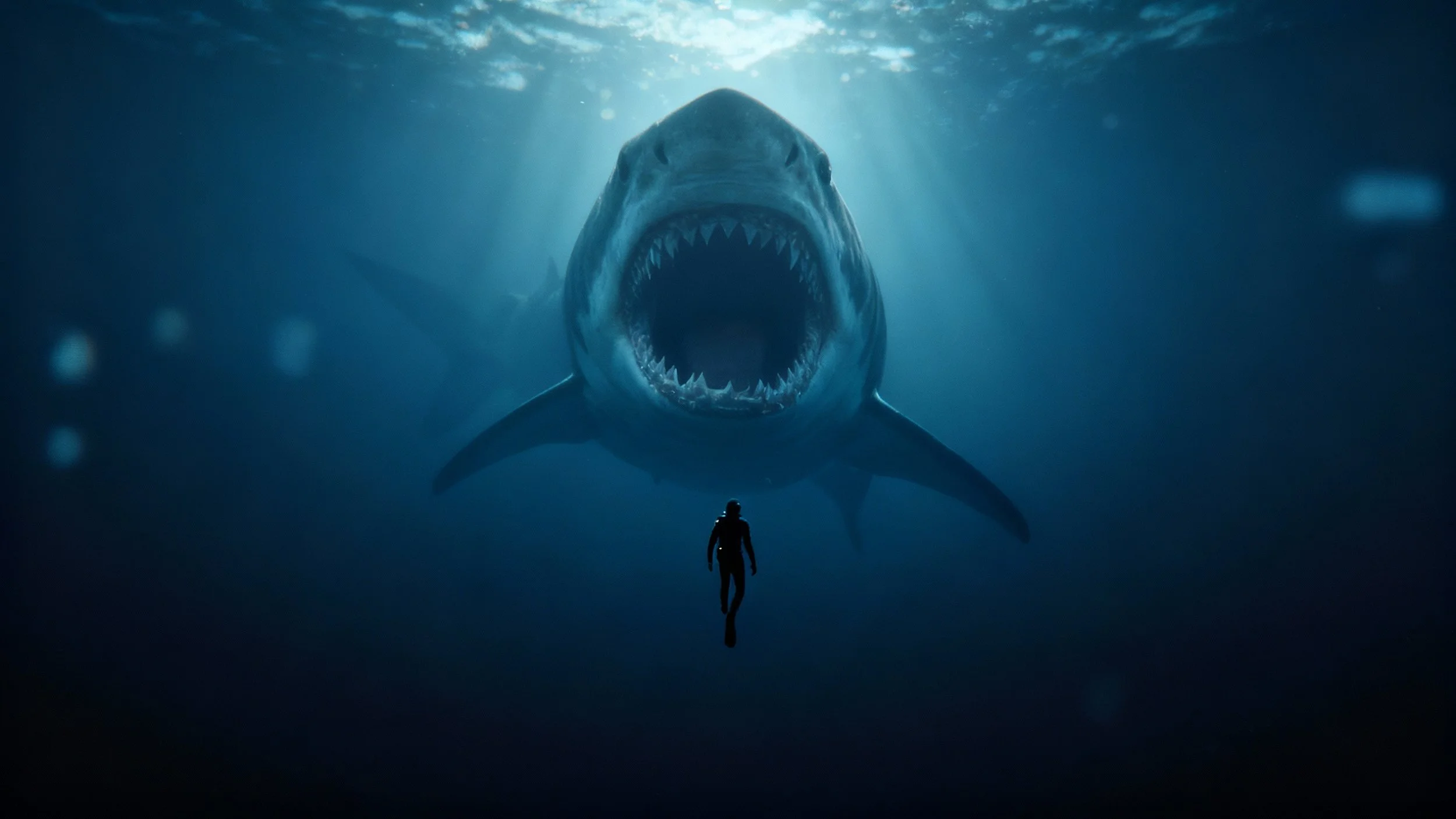 diver and shark.png