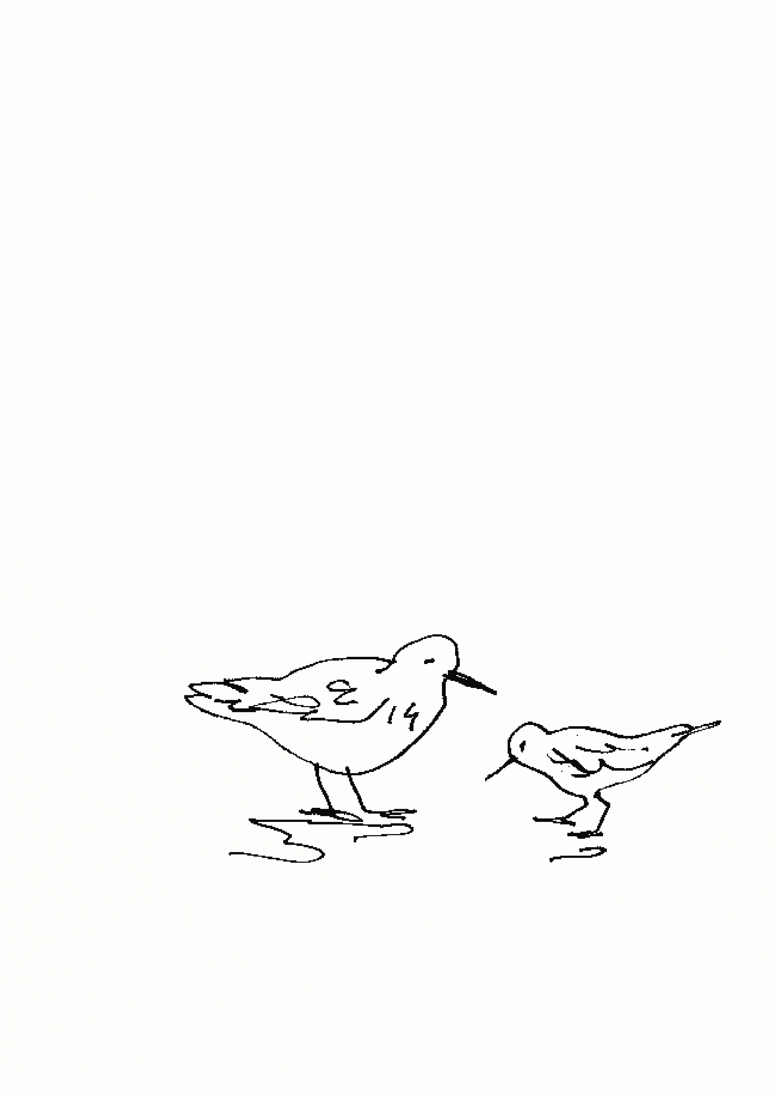 WEBSITE_DUNLIN A4.png