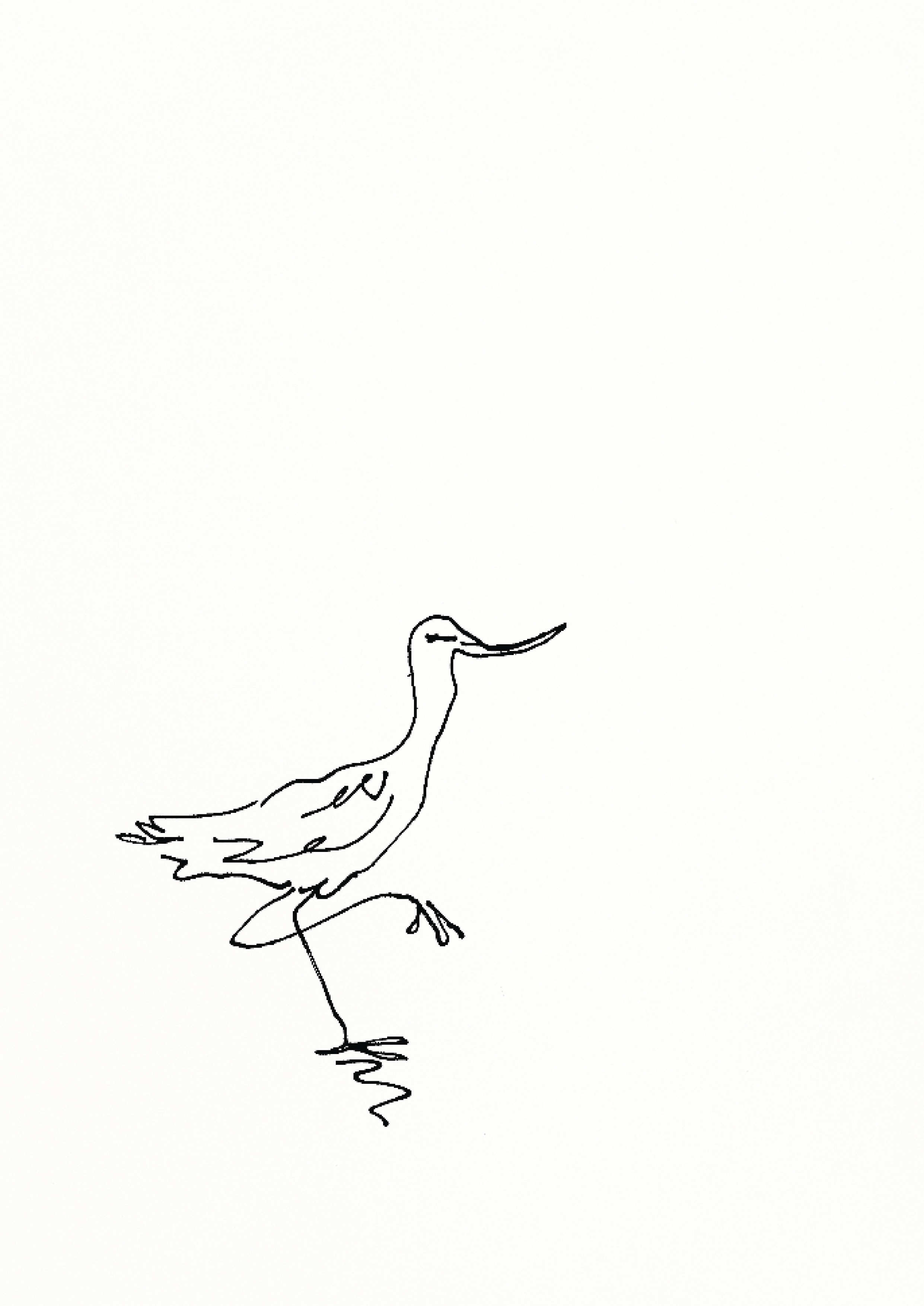 WEBSITE_GODWIT a4.png