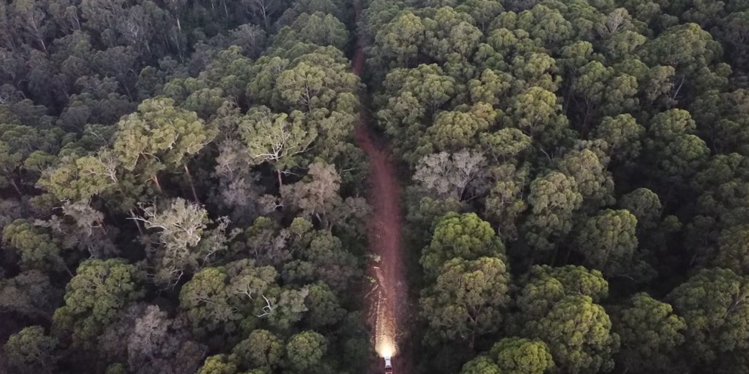 The Truth About Western Australian Honey