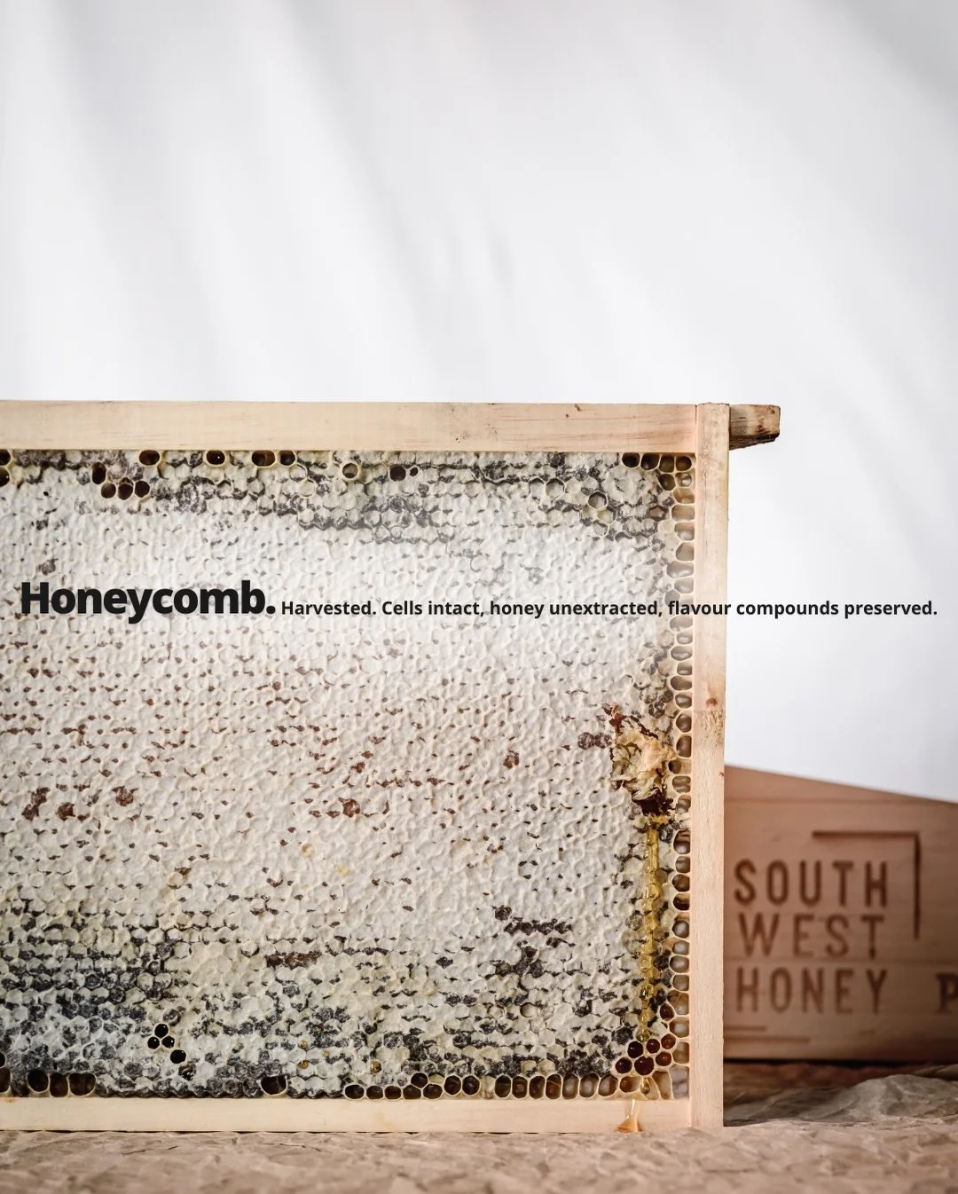 🍯 The most luxurious way to enjoy honey? Straight from the comb.

Our honeycomb frames are filled and sealed by the bees themselves, preserving honey in its purest, most natural form. No processing. No additives. Just premium Western Australian hone
