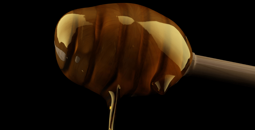 What Is Jarrah Honey? A Complete Guide from a WA Producer