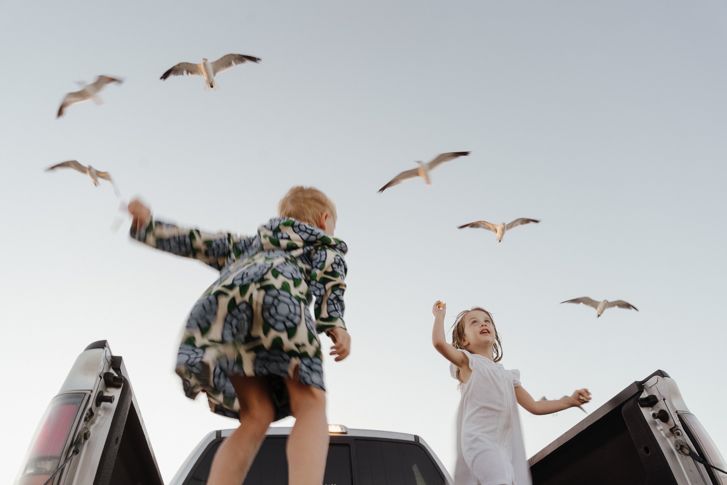 Two children, a boy and a girl, standing on the back of a pickup truck with their arms raised, looking up at flying seagulls in the sky during daylight. Beach photoshoot in Padre Island Corpus Christi Port Aransas. Birds in the air family photos.