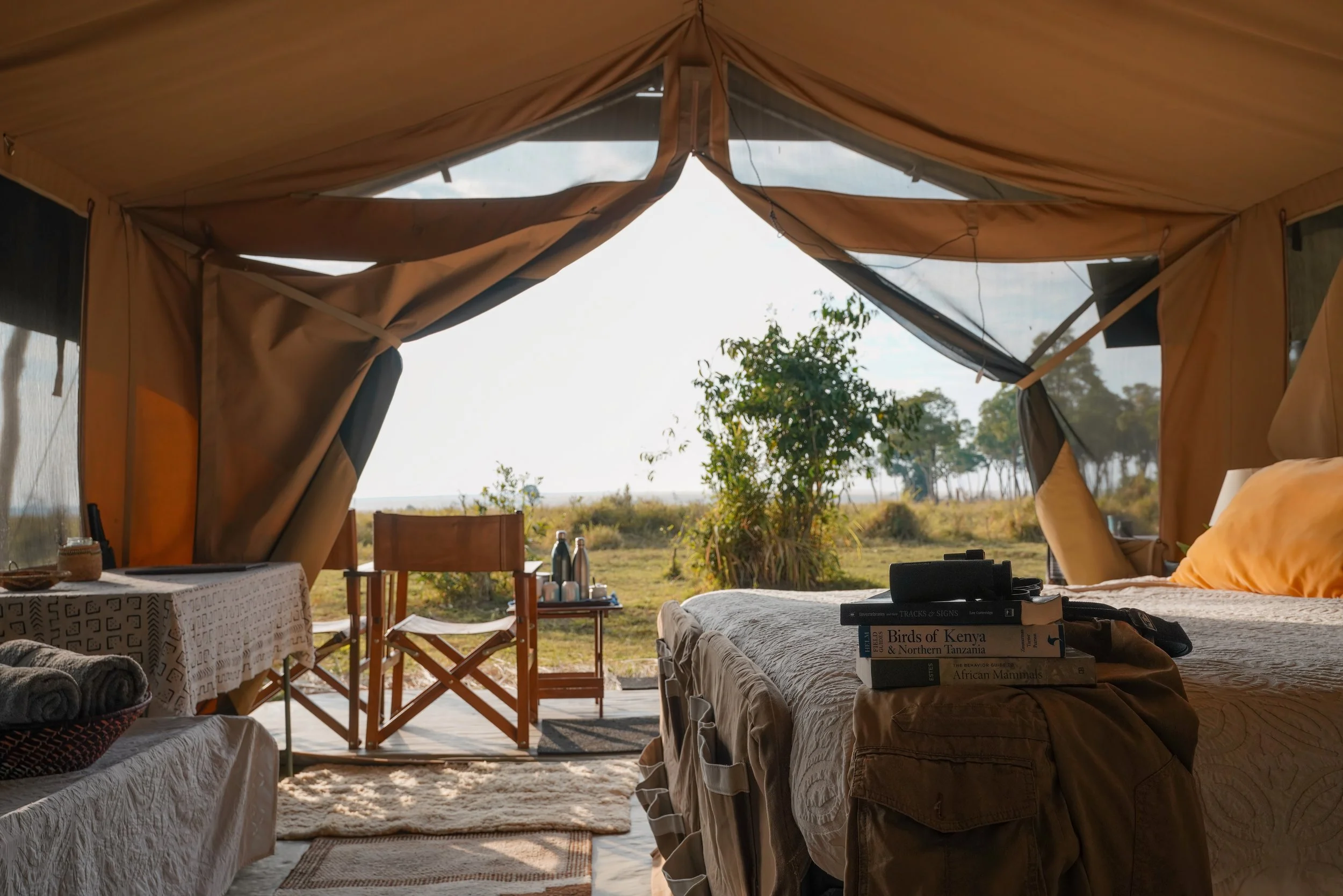 Luxury safari tent interior with a view of nature, featuring a bed, table, and wooden chair. Books, binoculars, and thermos bottles are present.