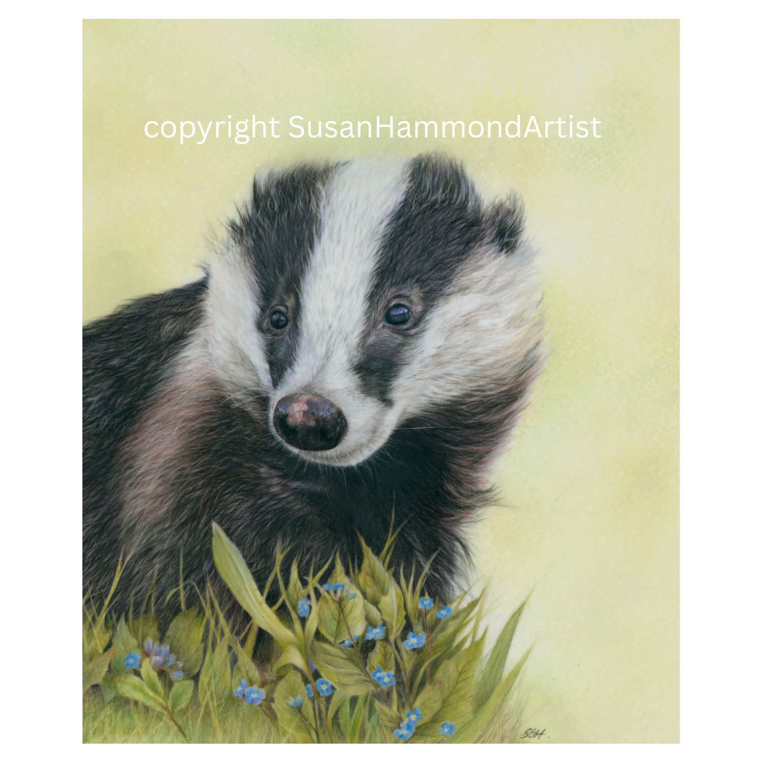Original fine art badger in forget me nots wall art