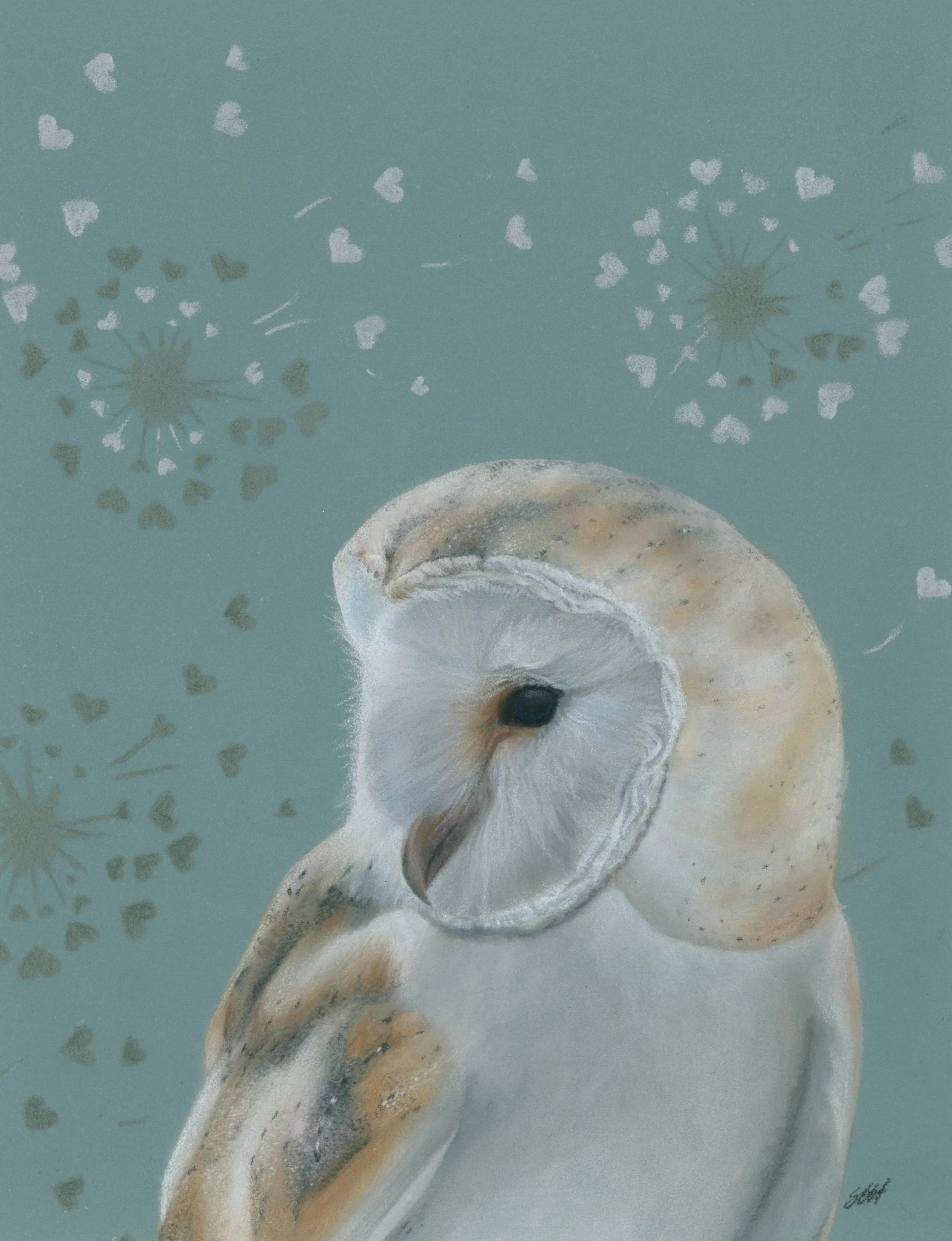 2026-06-01-13-56-37-01.jpeg