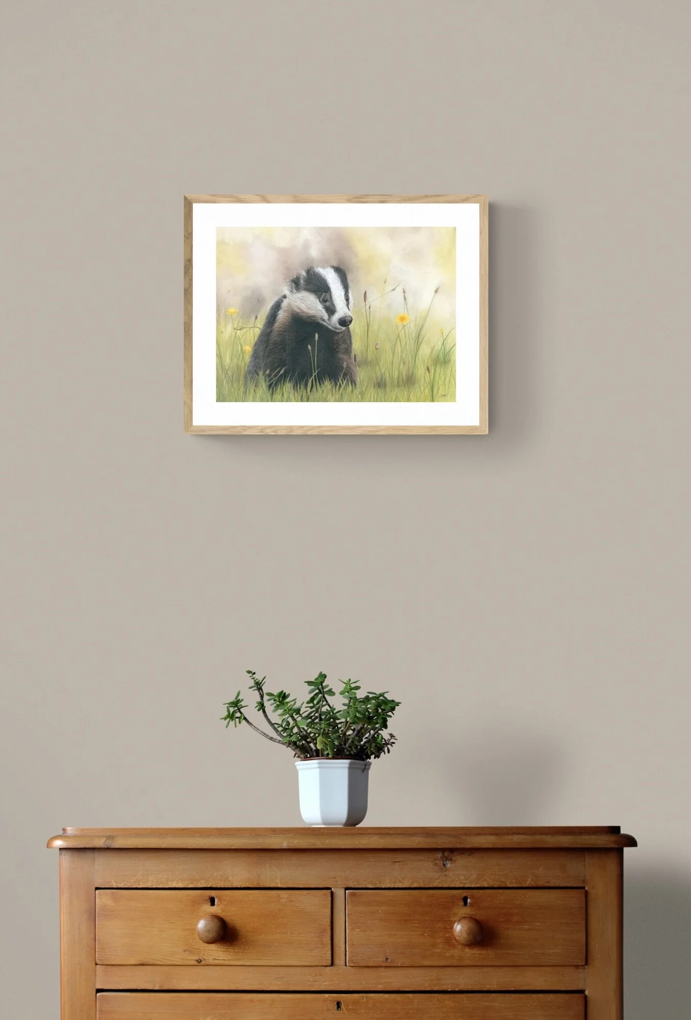 plant-on-wooden-drawers-16.jpeg (Copy)