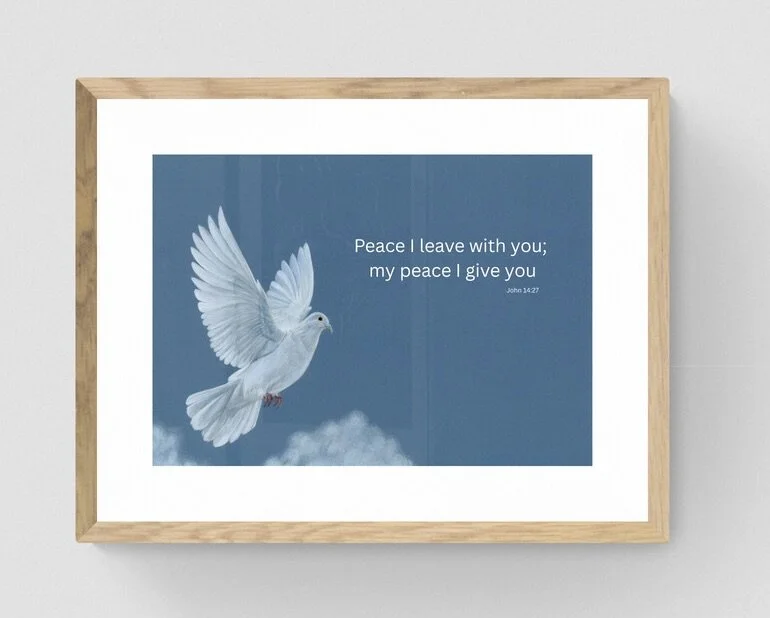 John 14:27 white dove 'Peace I leave with you' 8 x 12" christian animal wall art print