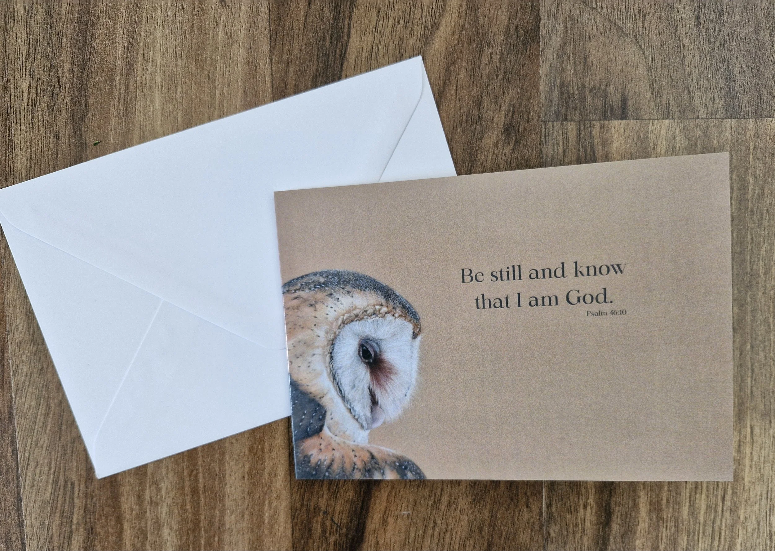 be still owl.jpeg