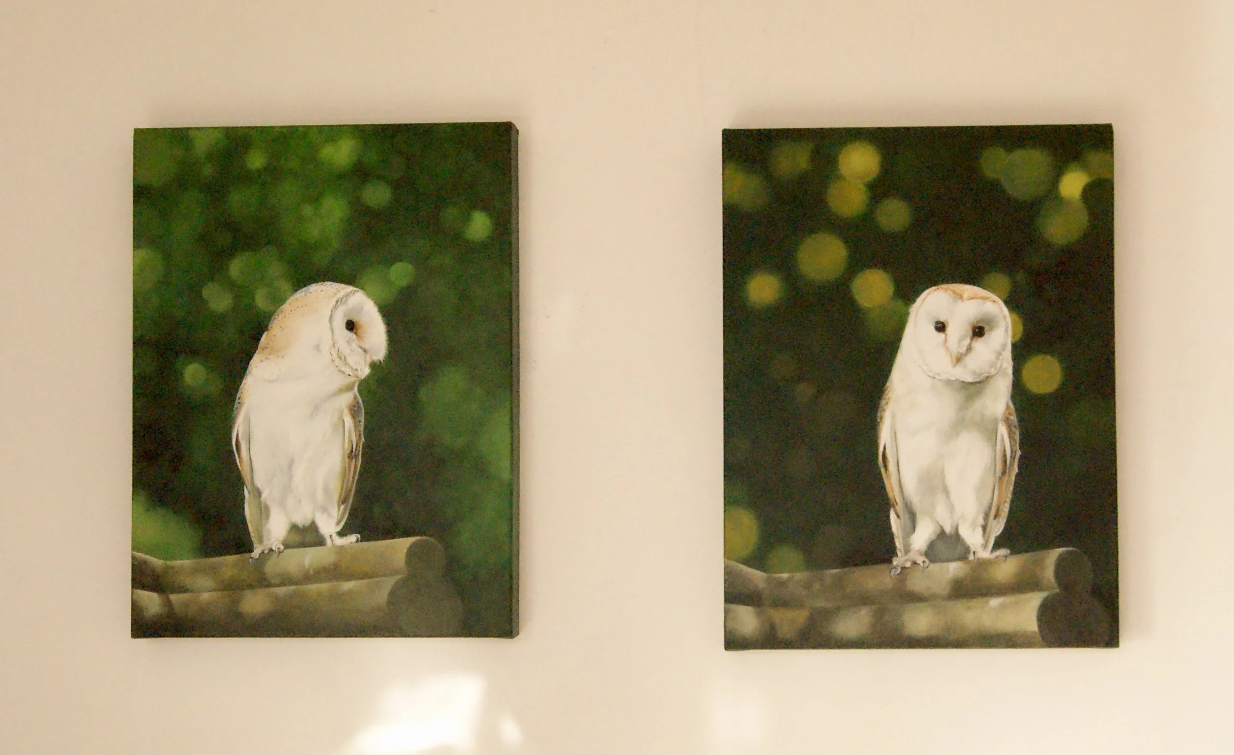 DSC04961.jpeg (Copy)