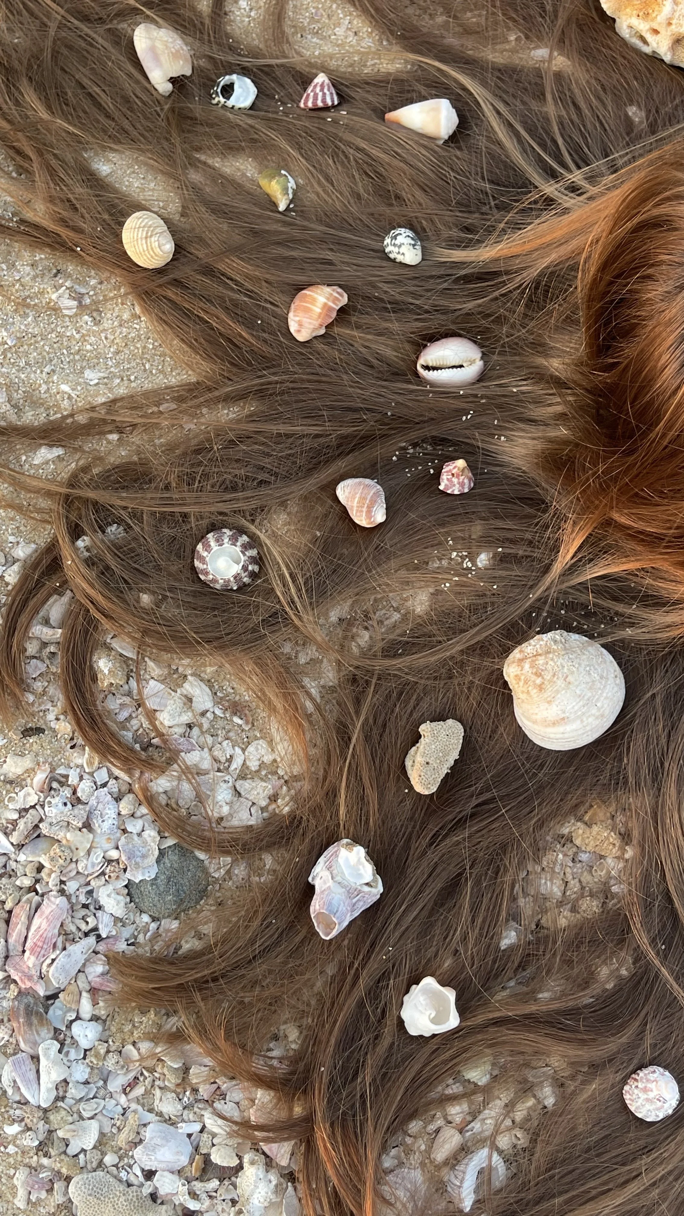 Long reddish-brown hair spread out on a beach, decorated with various seashells and small rocks.