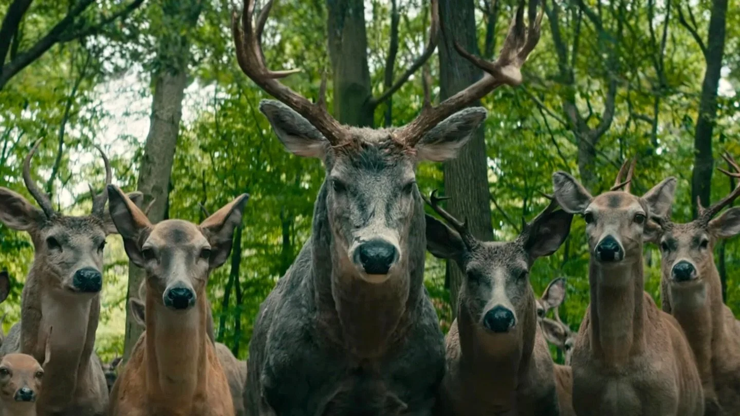 When your +1 brings a +1&hellip; OH, DEER screens at 1PM this weekend @ BUFF &mdash; got your tkts yet? 📸: Leave the World Behind (Netflix)