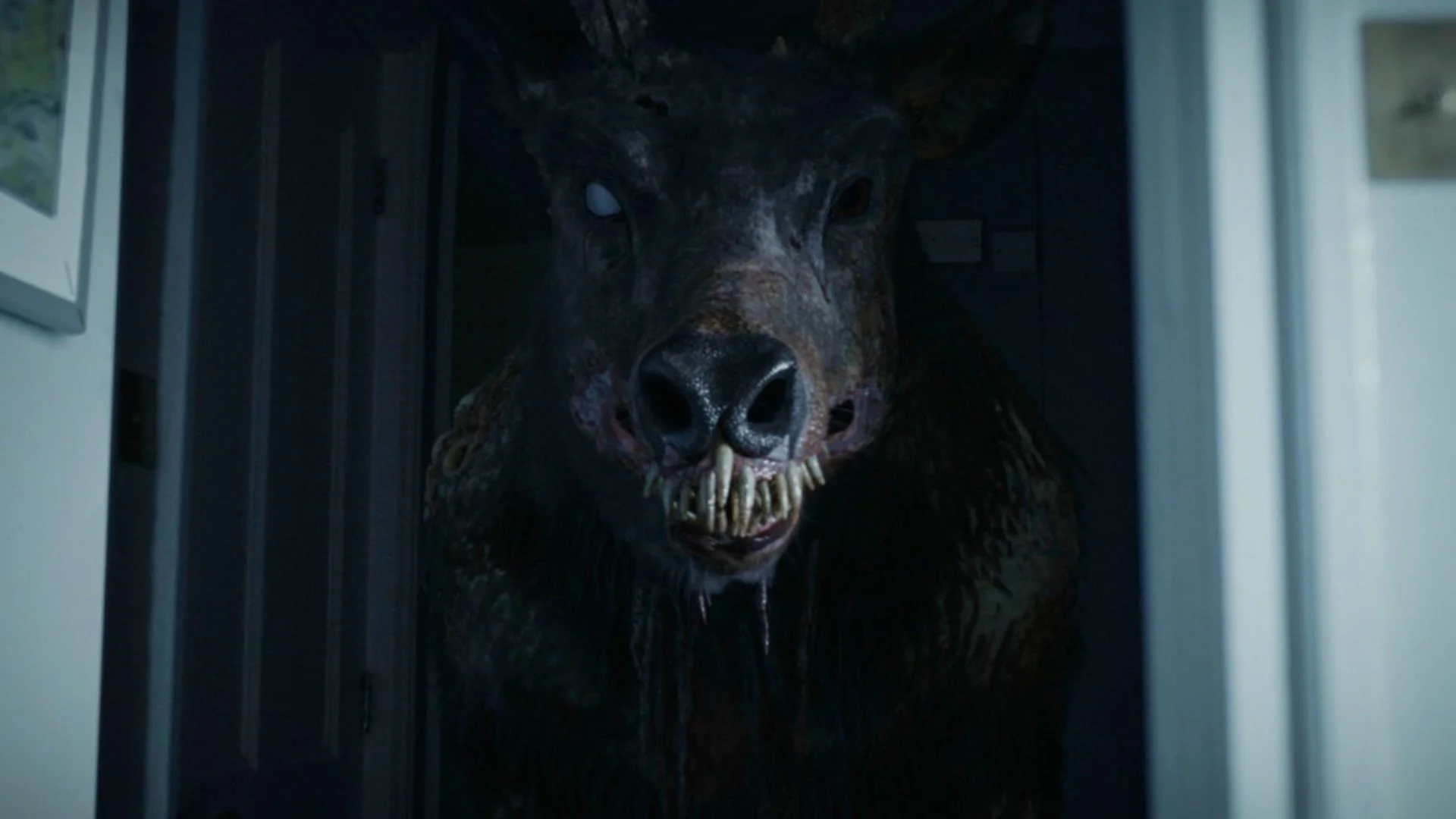 POV: the deer you almost hit wants to know if you have full coverage.

📸: Bambi: The Reckoning (Jagged Edge Productions)