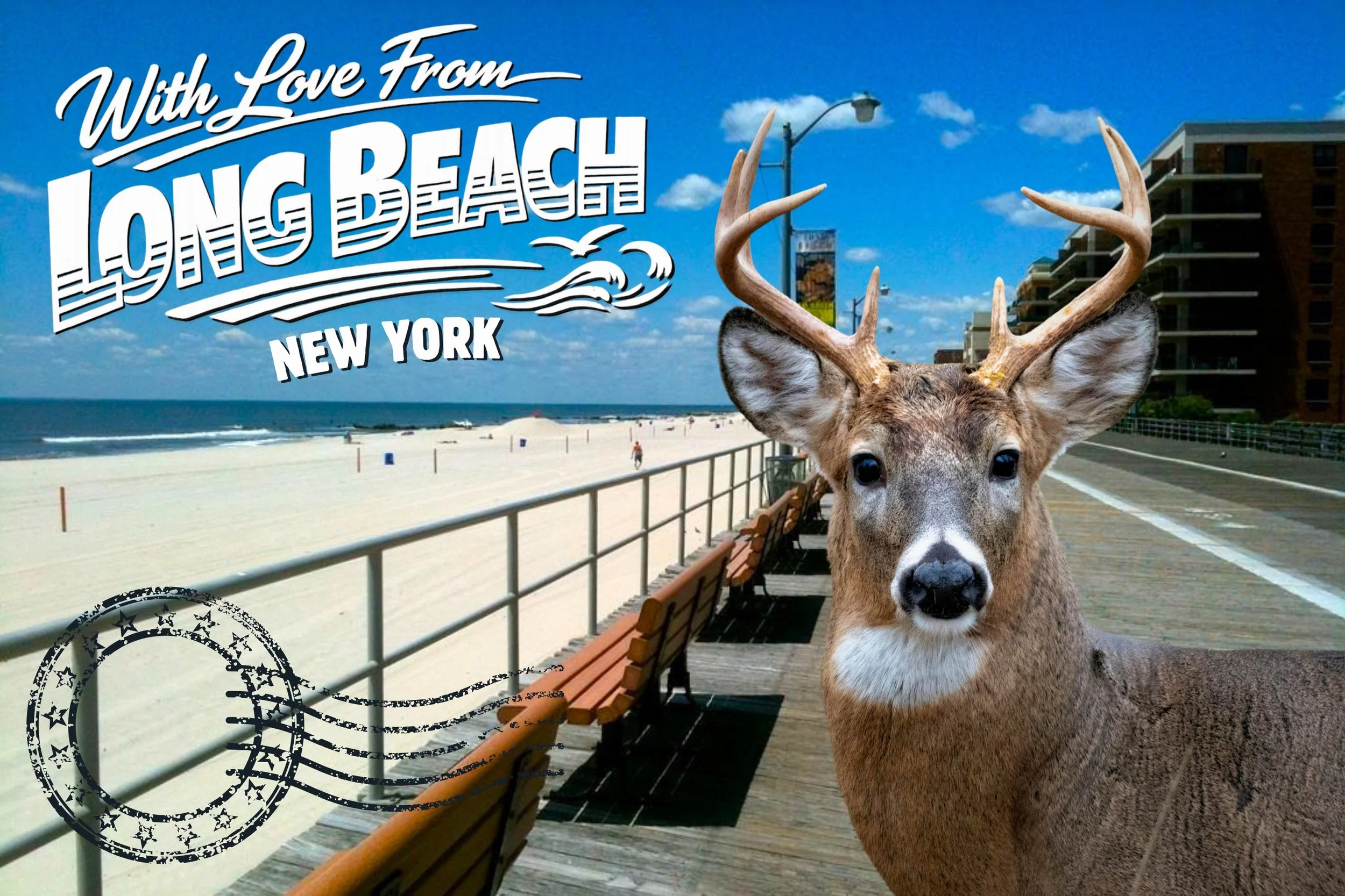 The deer heard &ldquo;Shorts on the Beach&rdquo; and packed accordingly. 🩳🦌 Join us in Long Beach for a free screening of OH, DEER under the stars. We&rsquo;d love to see you there!