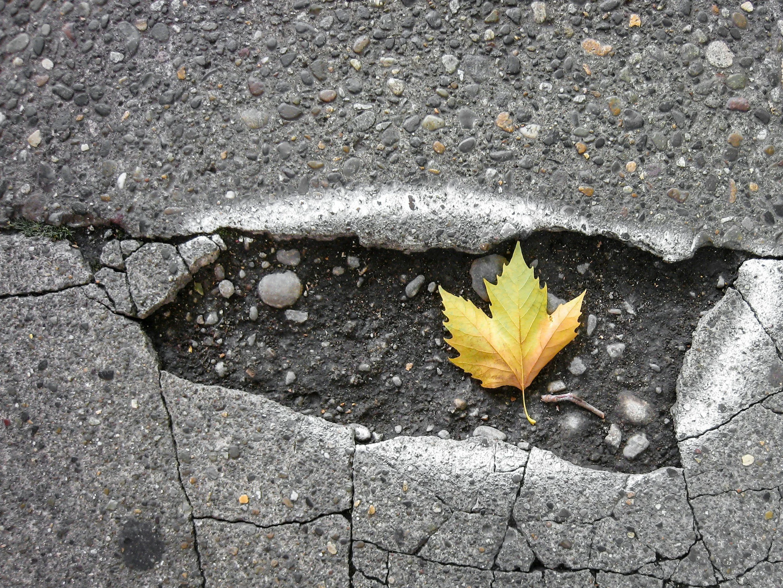 Local cultural decision making in 'left-behind areas'