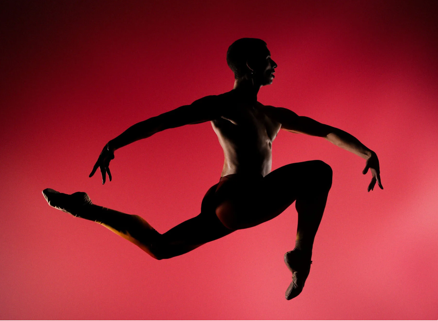 Dance Touring Companies Social Impact Report