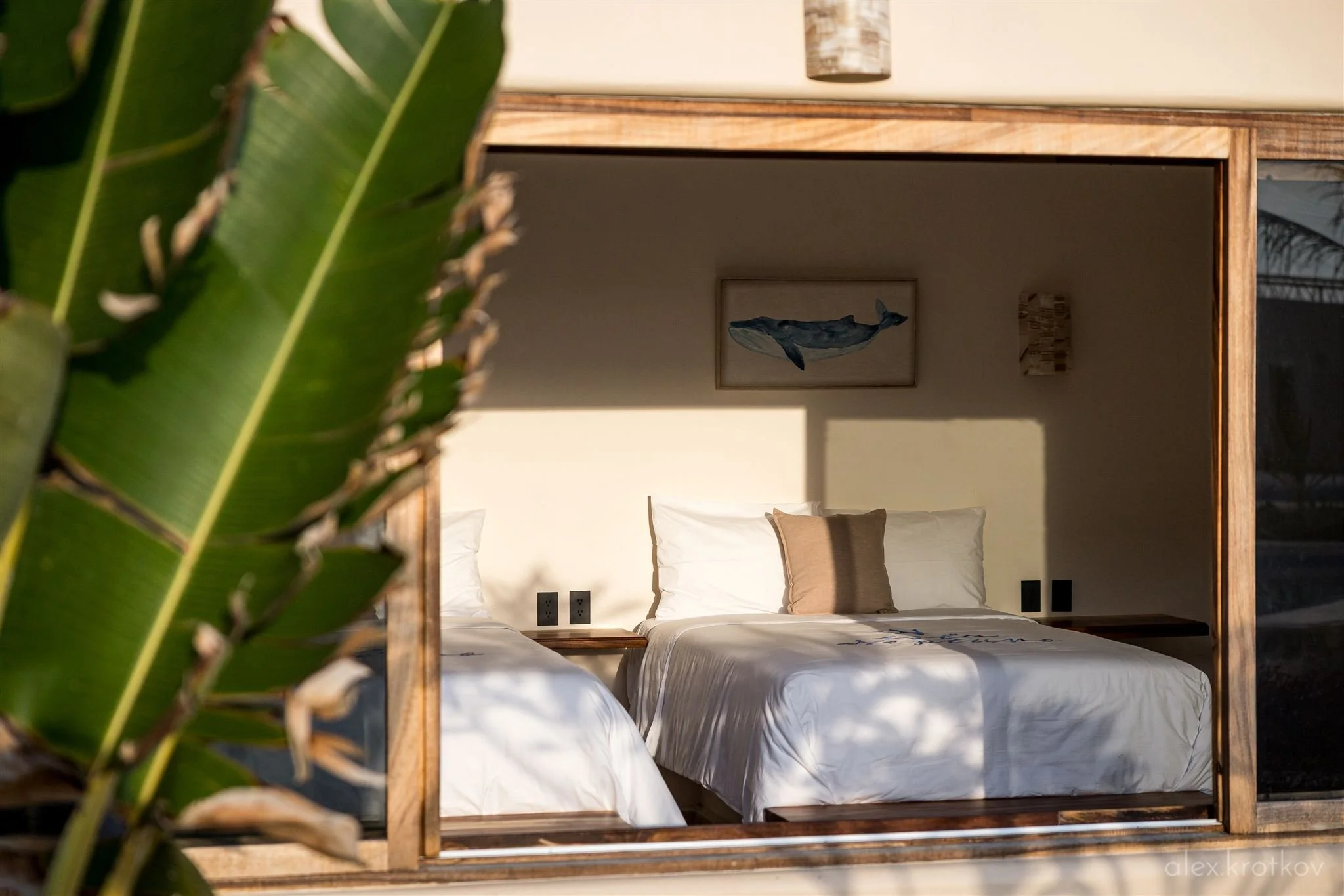 rooms1-3-det-isla-neptuno-puerto-escondido-alex-krotkov-0019_R6_21163_websize.jpg