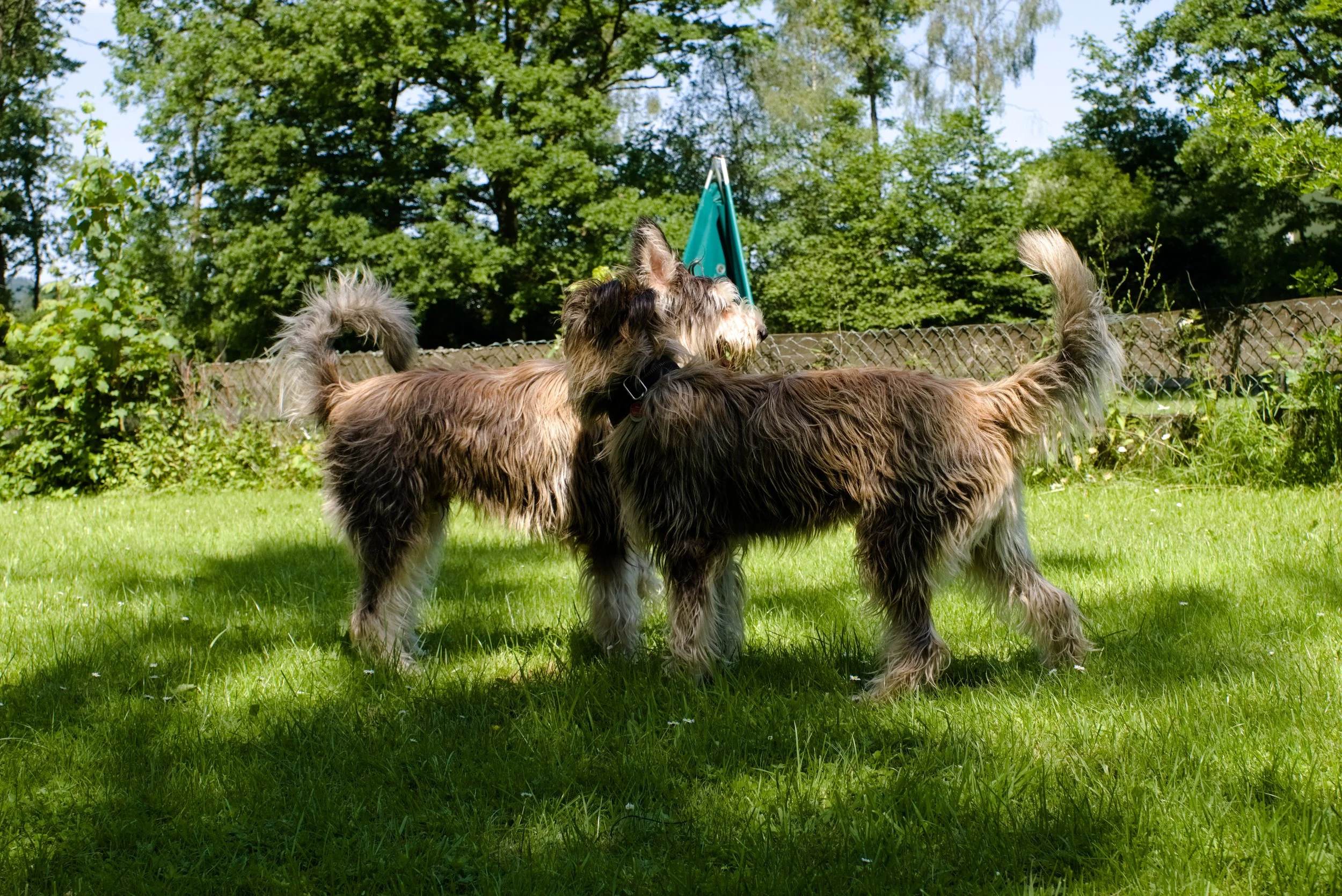 DSCF3596.jpg