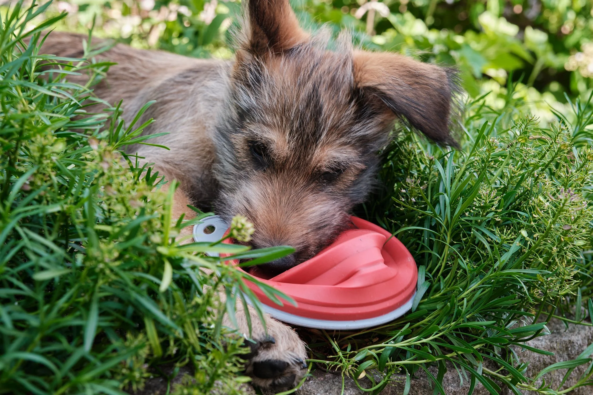 Ganz schön viel passiert in den letzten Tagen