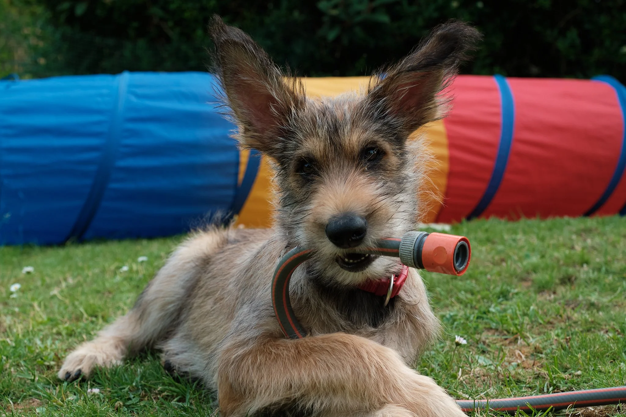 Ich suche nicht die Gefahr, ich suche den Schatten 