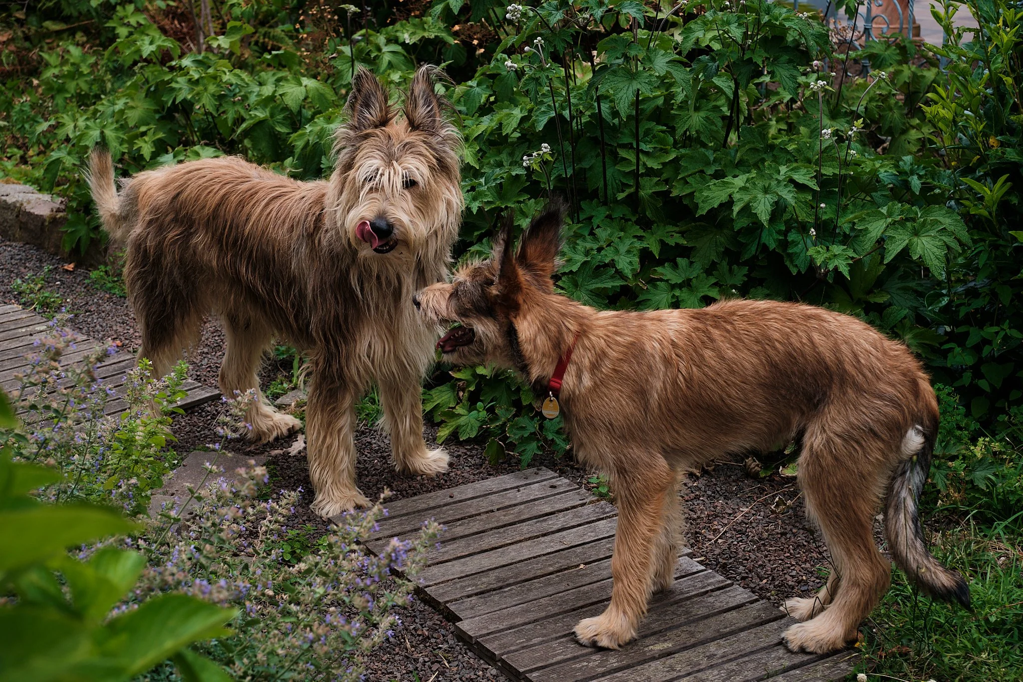 Der nächste Tiefpunkt 