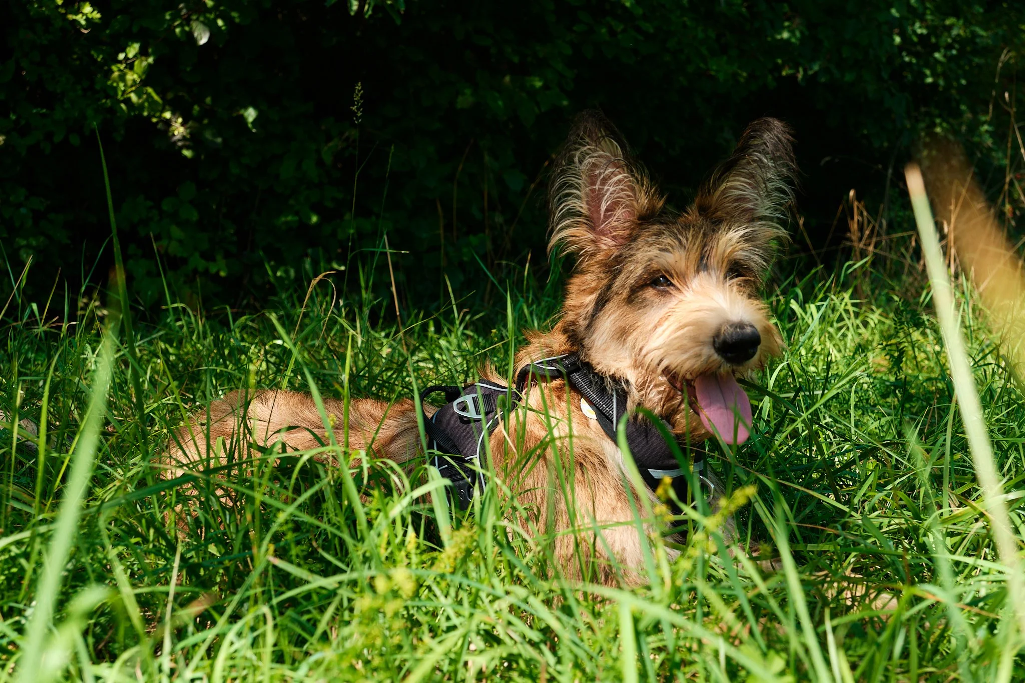 Ich bin jetzt schon 1/2