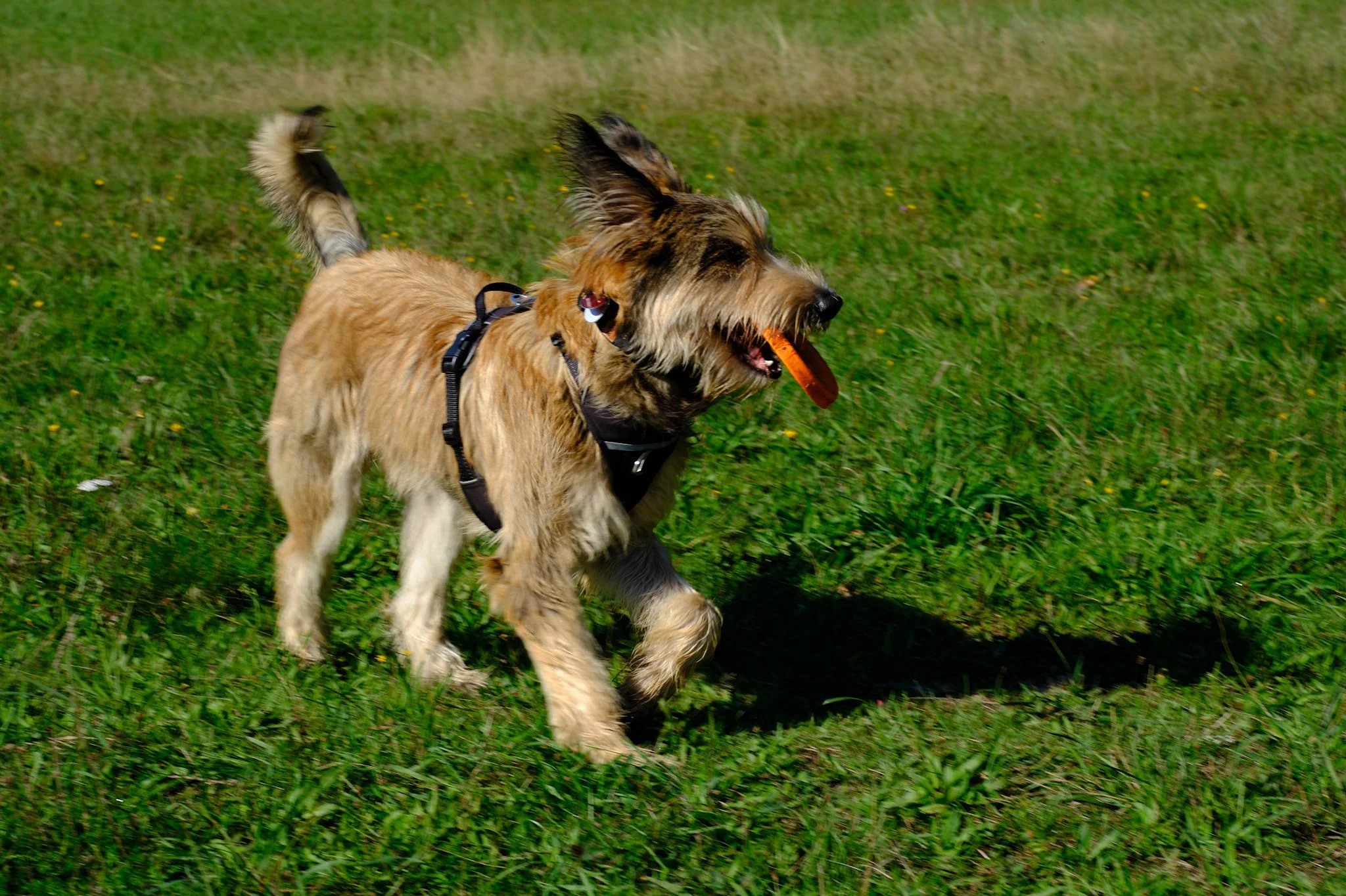 Auf nach Oer-Erkenschwick