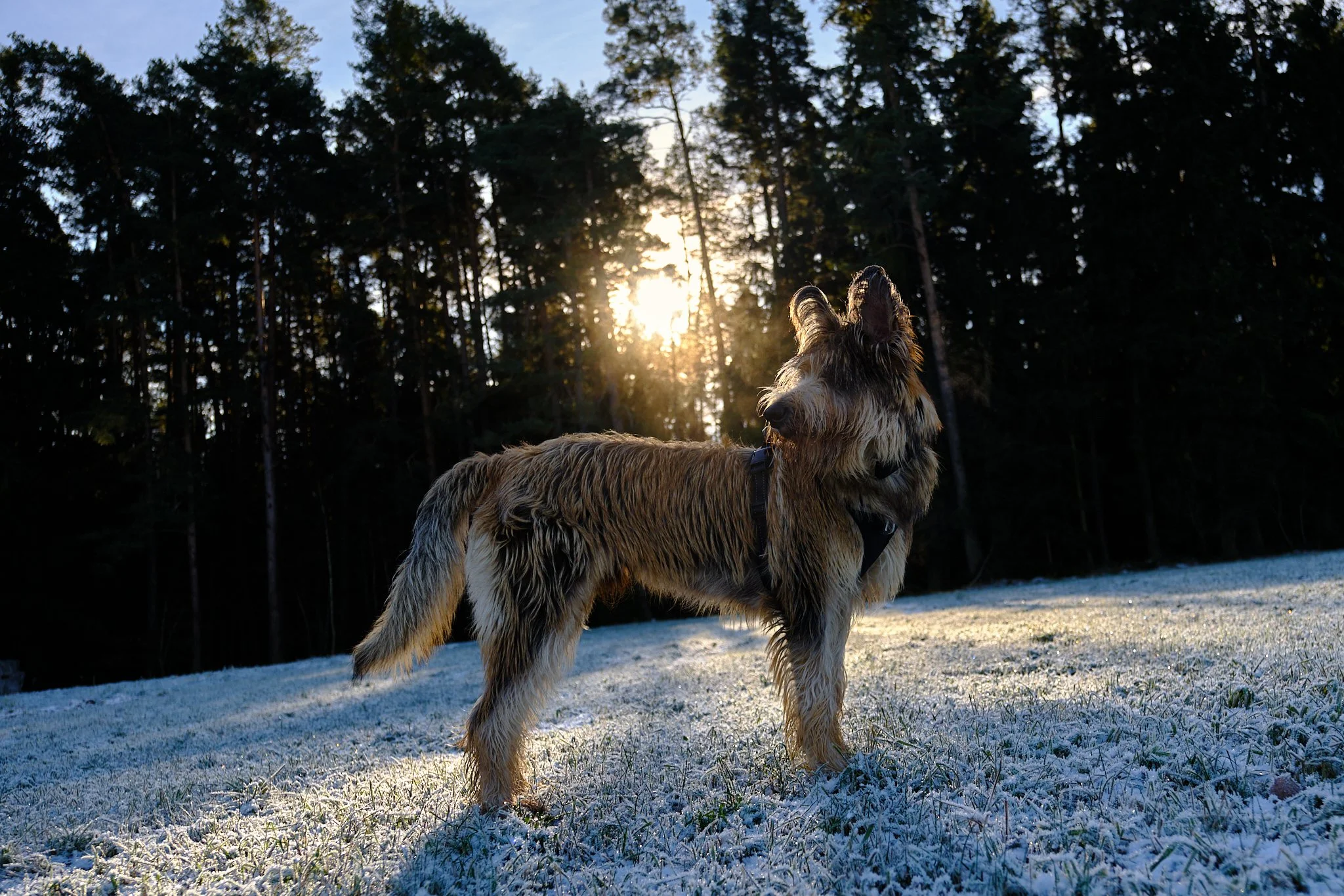 Frohe Weihnachten und guten Rutsch 