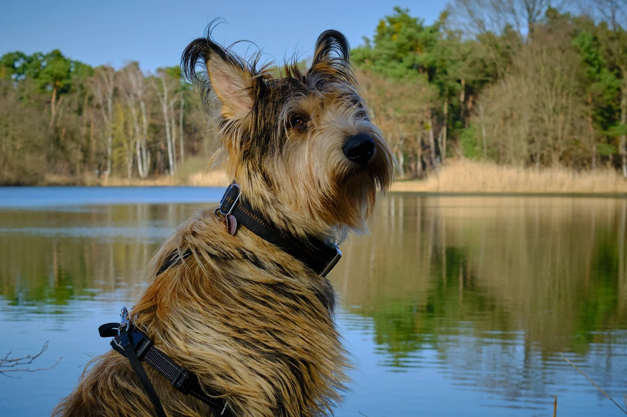 Ich hatte meinen ersten Geburtstag