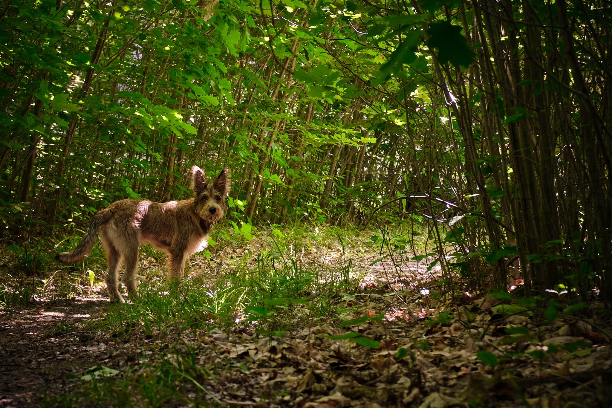 Klicke auf das Bild um zu sehen wo ich bin