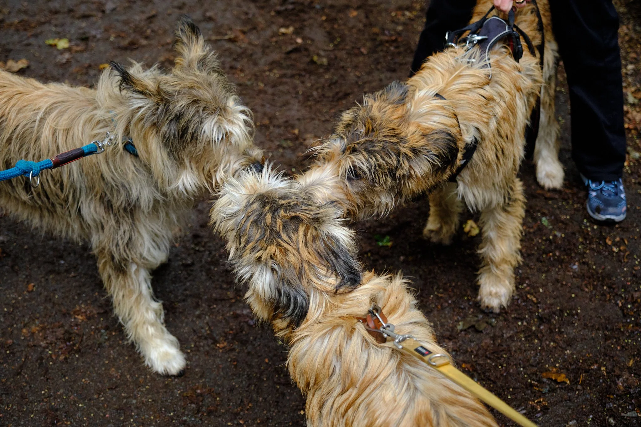 Beim Familientreffen
