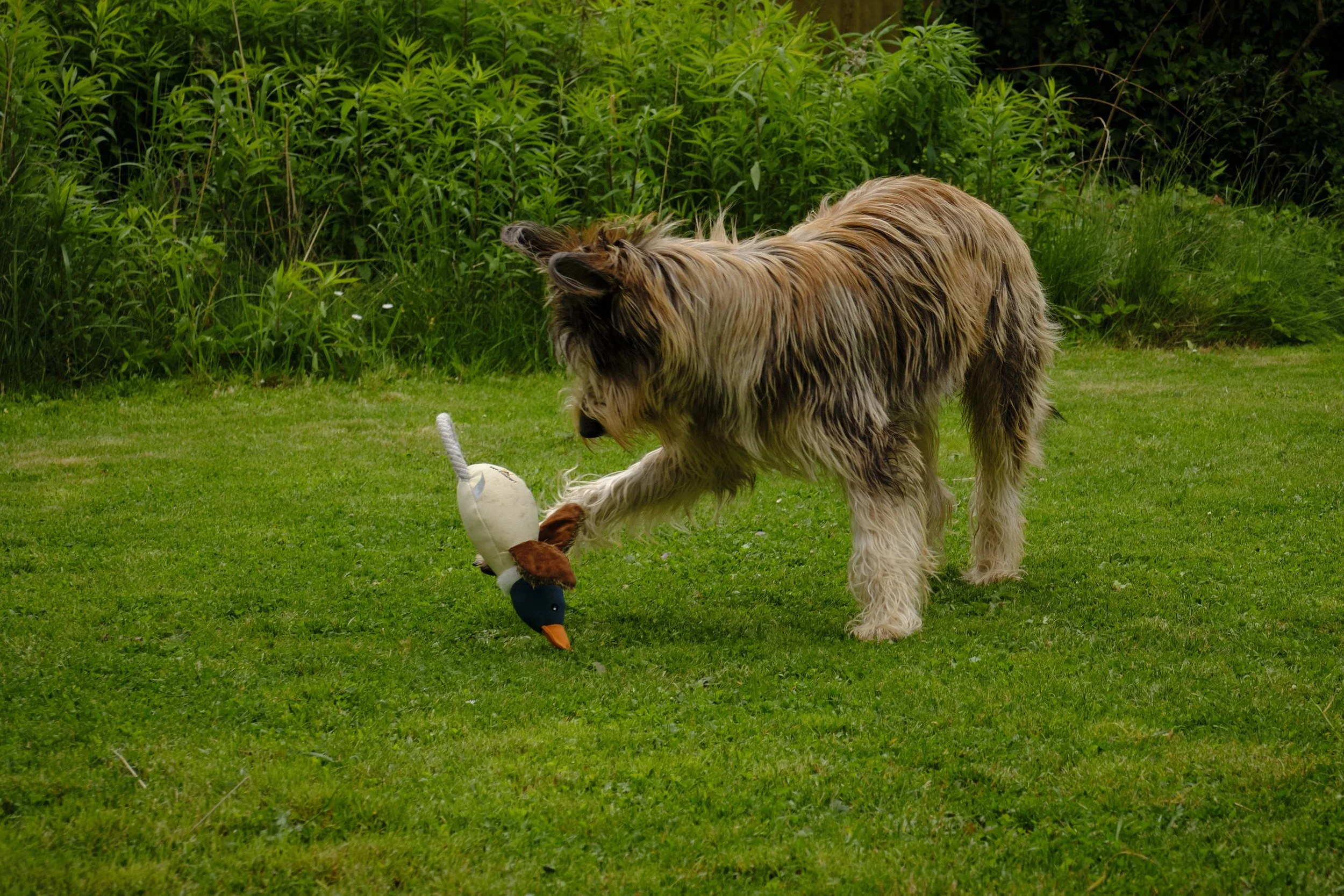 DSCF3523.jpg